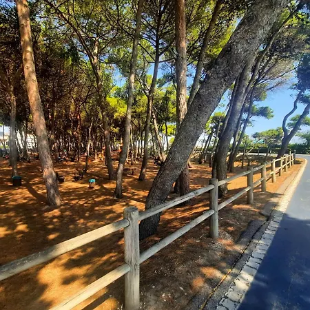 Filomena Pt2 - Myho Casa * Alba Adriatica