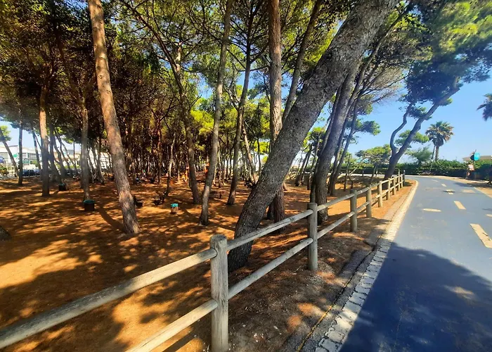 Filomena Pt2 - Myho Casa * Alba Adriatica